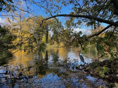 bois de boulogne la nuit|Dix façons de vraiment profiter du bois de Boulogne